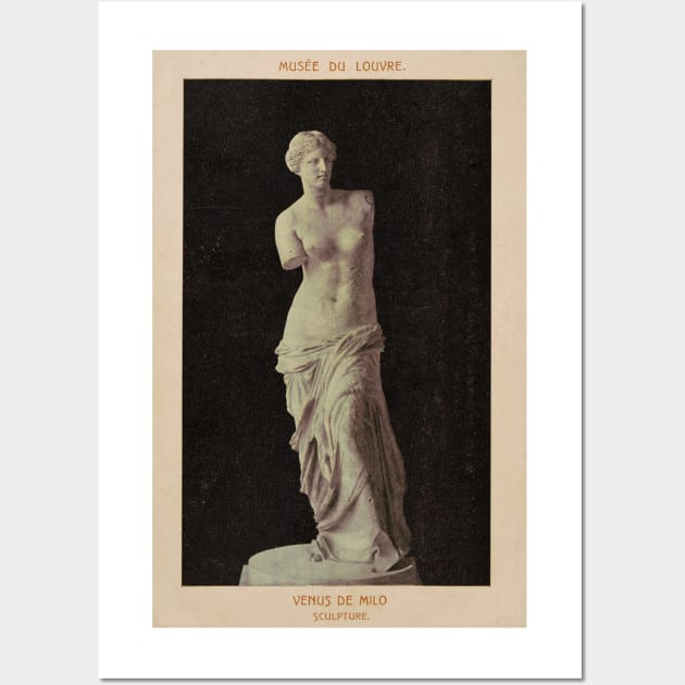 Venus de Milo Wall Art by Mary Rose 73744